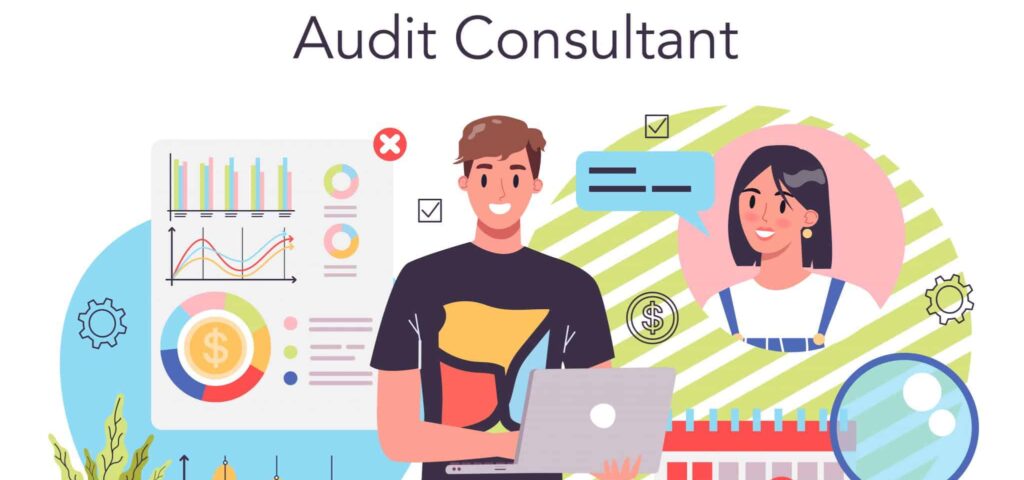 Audit Consultant