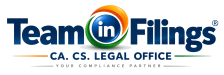 Team IN Filings Logo